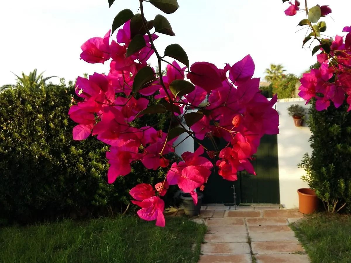 Villa Lunas Cala'N Bosch  Holiday home